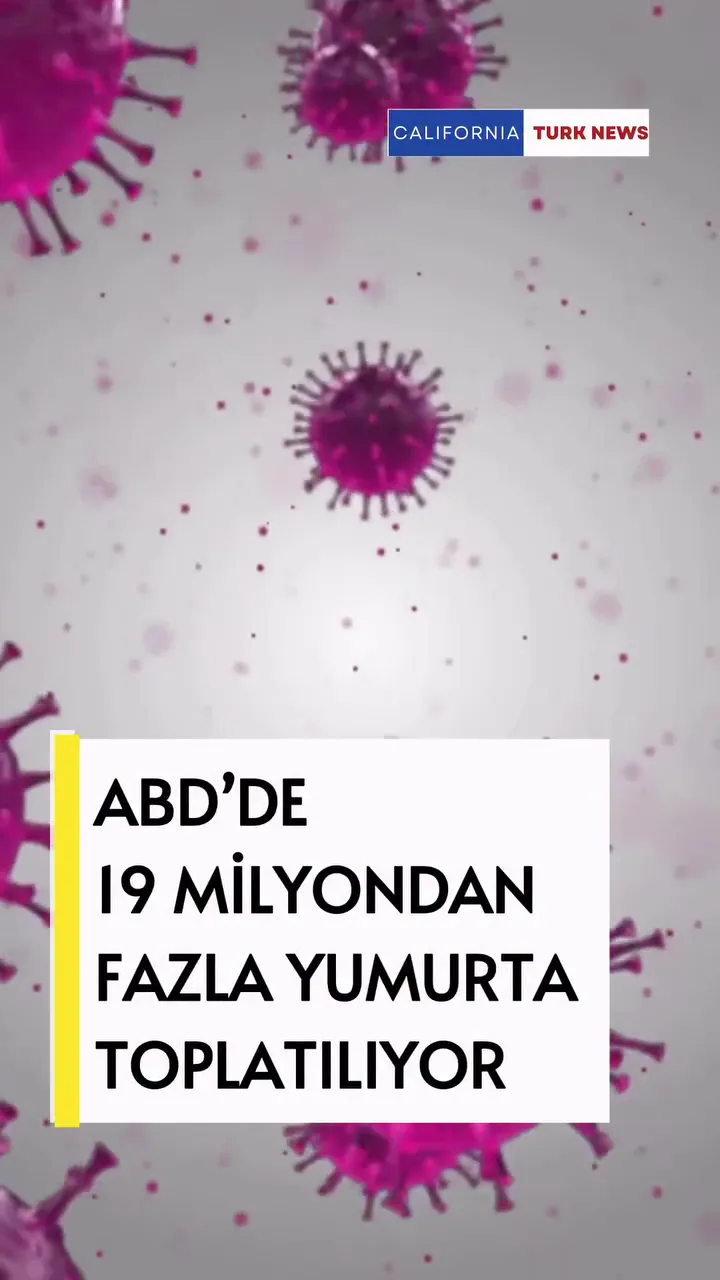 Salmonella riskiyle geri çağrılan yumurtalara ilişkin haber kapağı